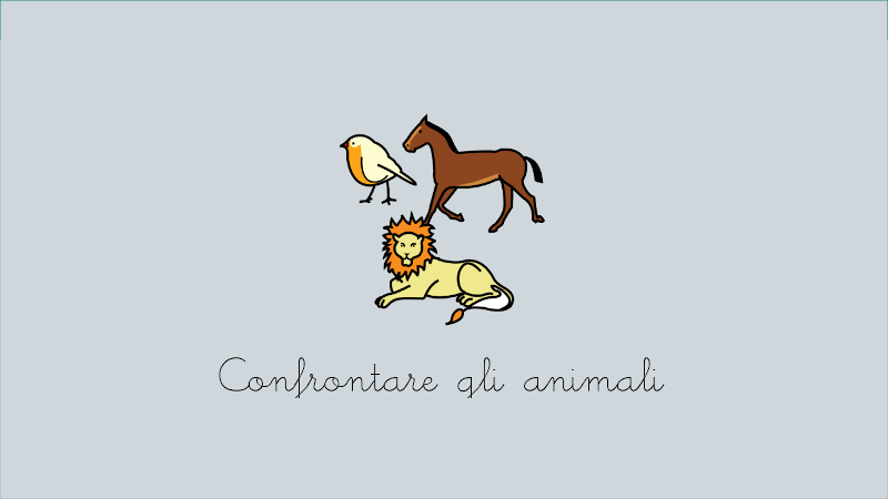 Comparar animales