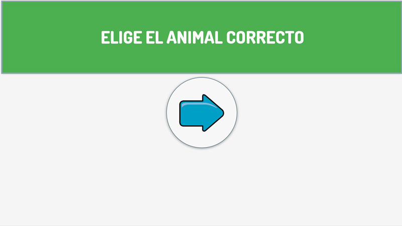 Elige el animal correcto