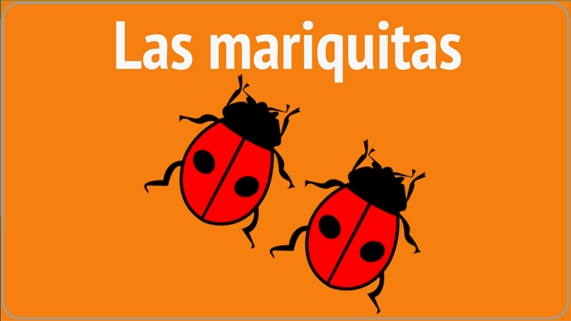 Las mariquitas