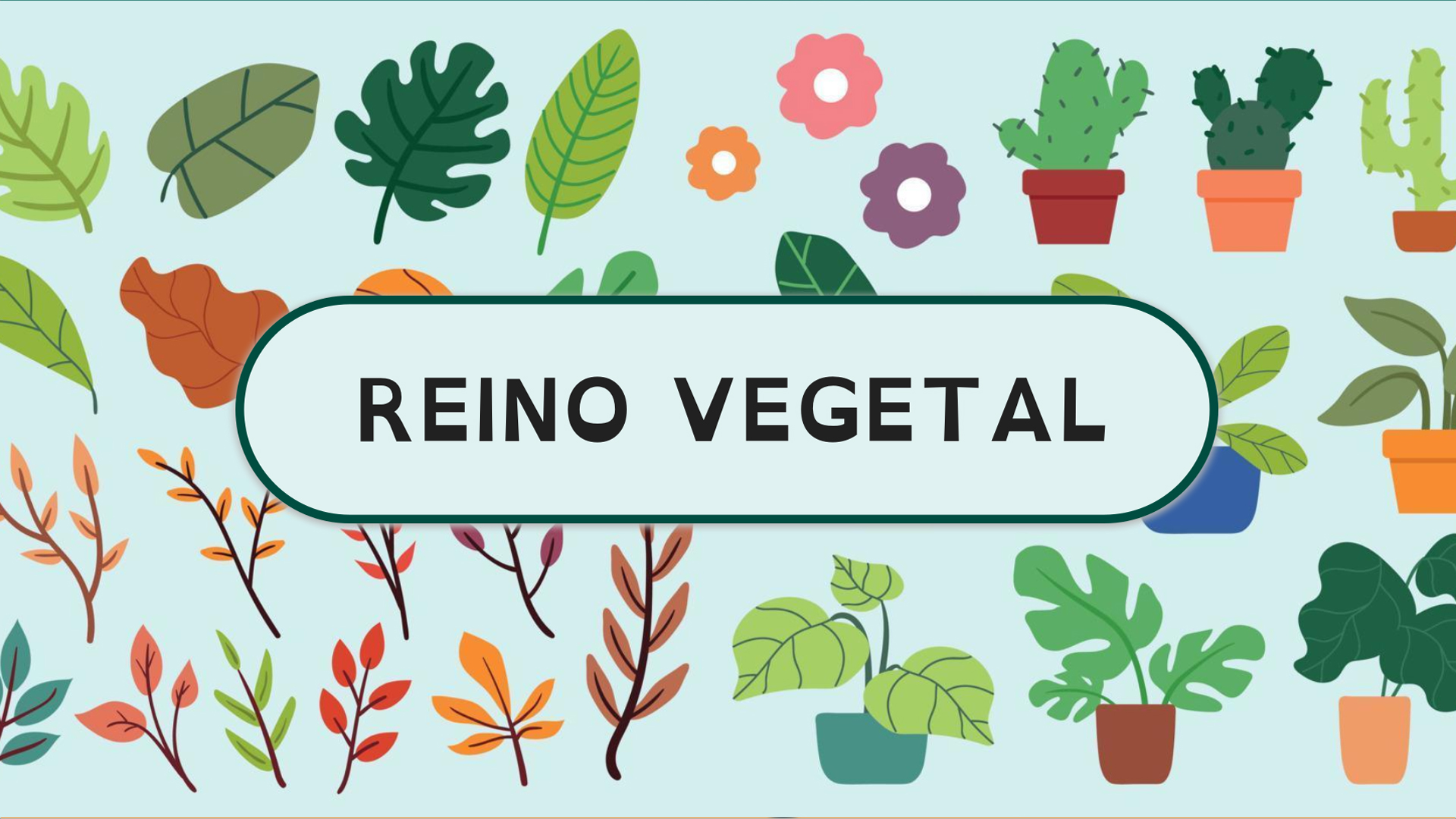 Reino Vegetal